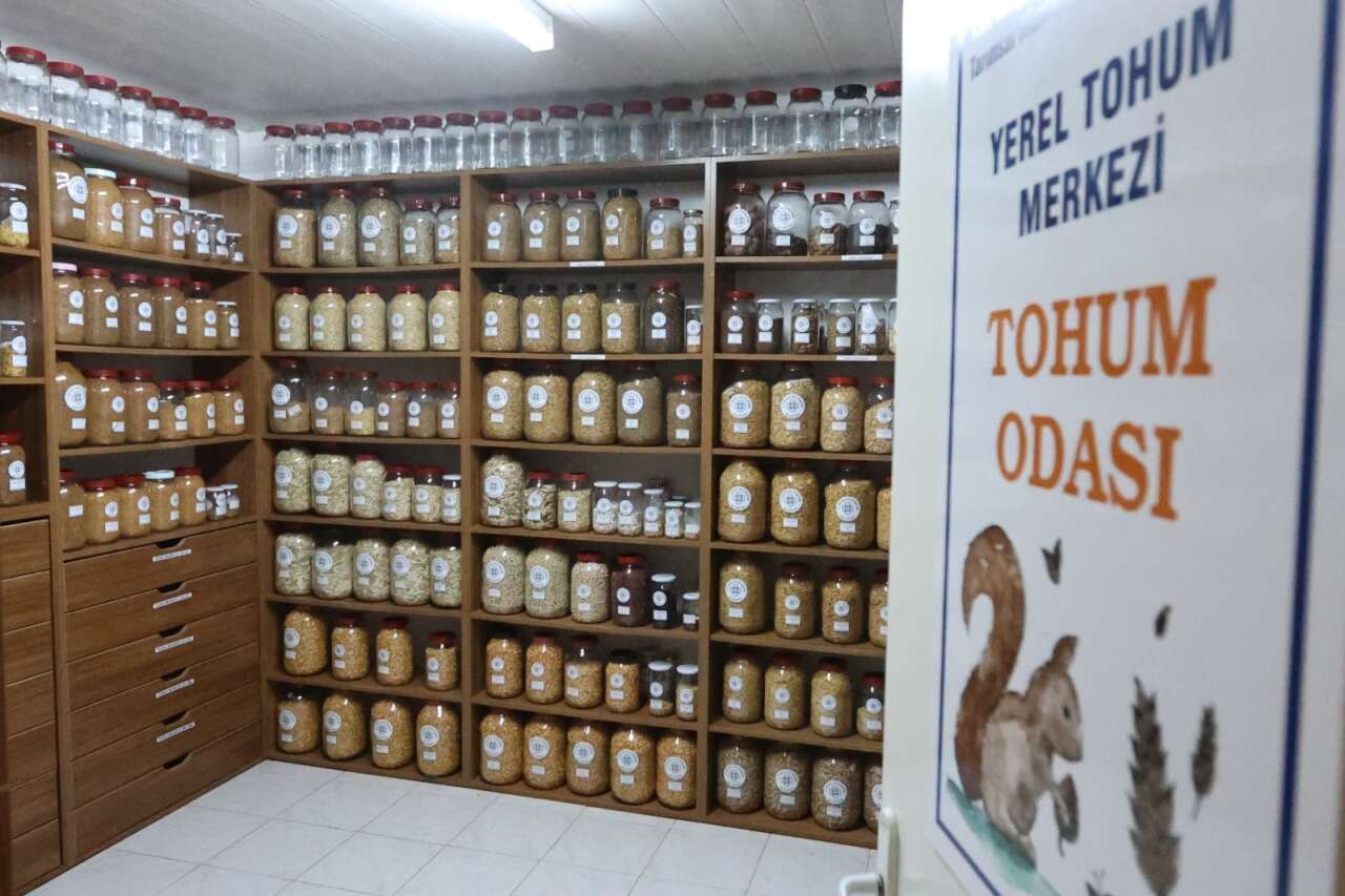 Muğla’nın Ata Tohumları Ülke Toprakları ile Buluşmaya Devam Ediyor 2